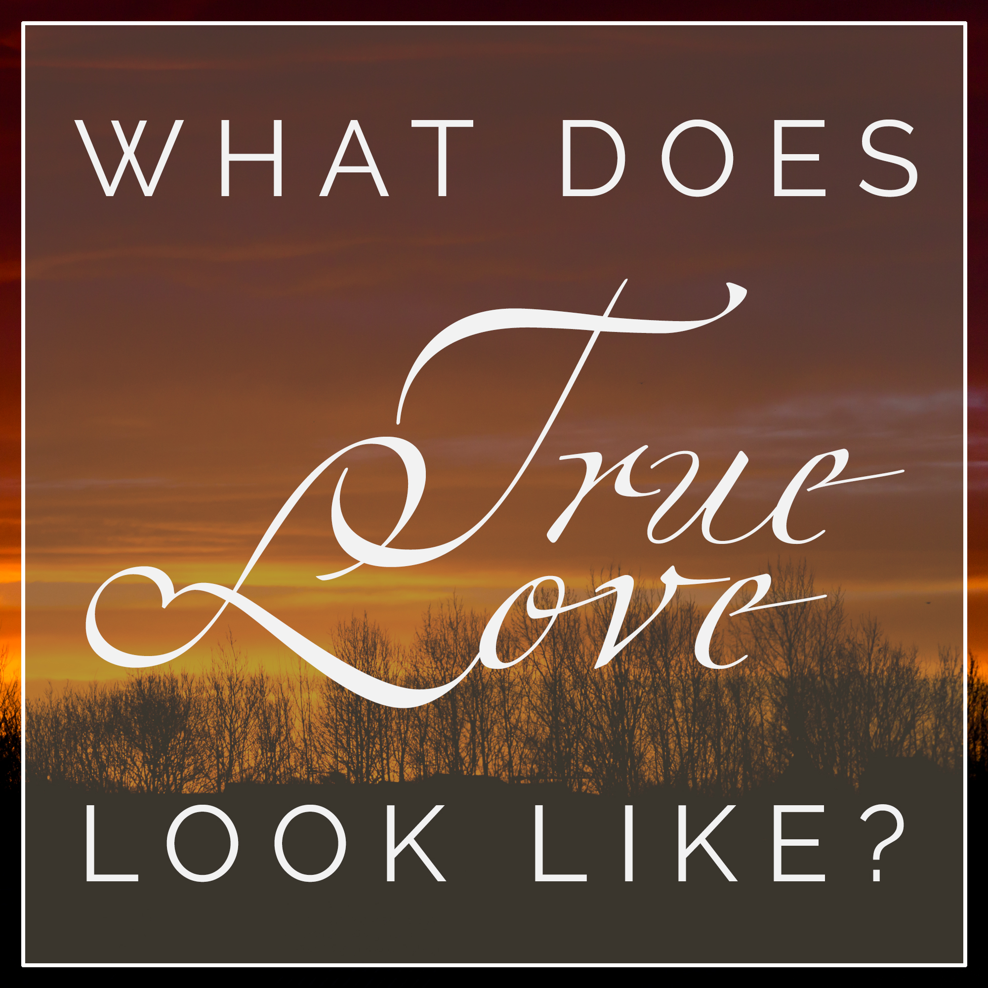 download i am looking for true love
