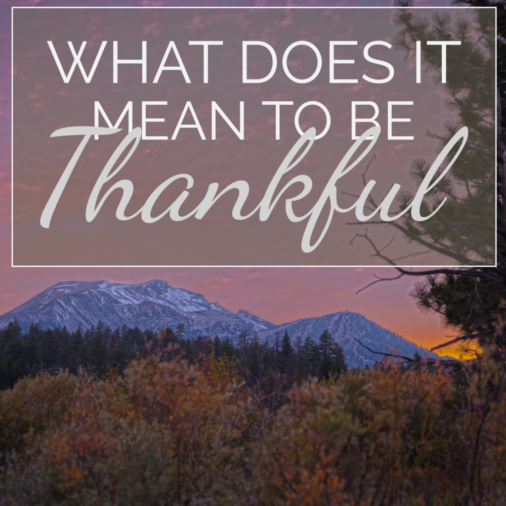 what-does-it-mean-to-be-thankful-fgg-designs